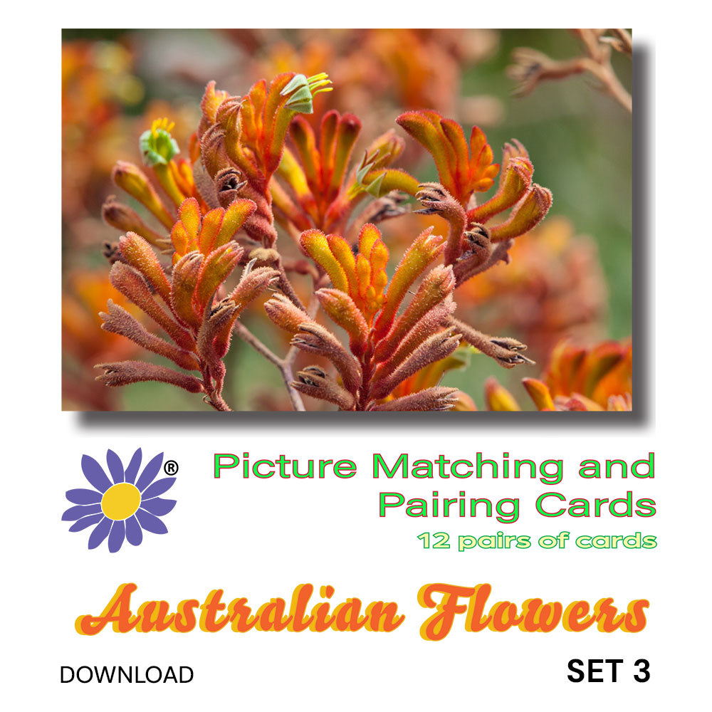 Australian Flowers - Set 3