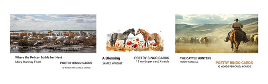 New Poetry Bingo Cards Collection