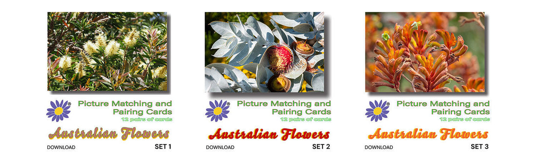 A New Memory Match Game – A Christmas Present for You and Your Family