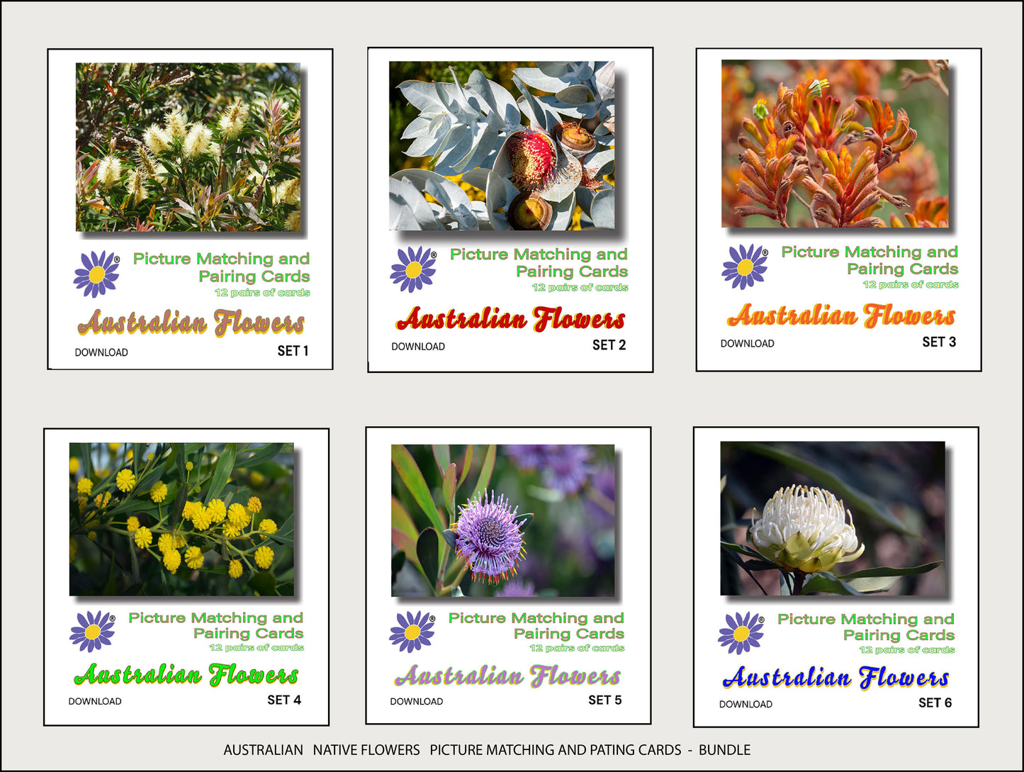 Bundle of Australian Flowers - Picture Matching and Pairing Cards