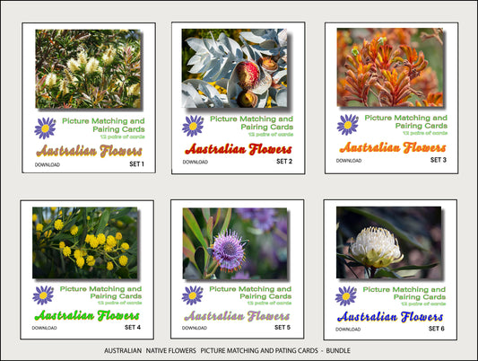 Bundle of Australian Flowers - Picture Matching and Pairing Cards