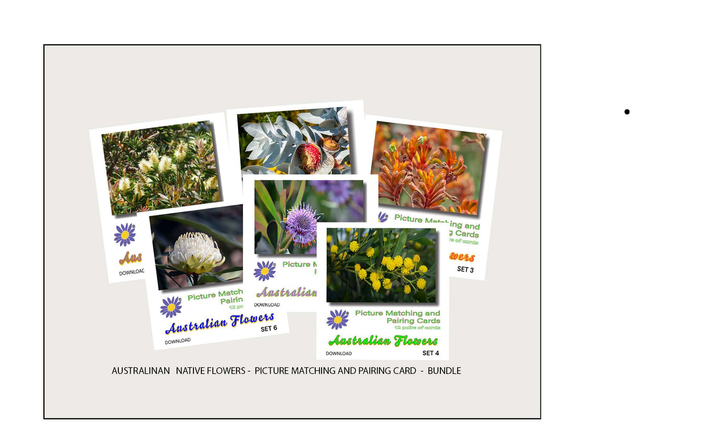 Bundle of Australian Flowers - Picture Matching and Pairing Cards