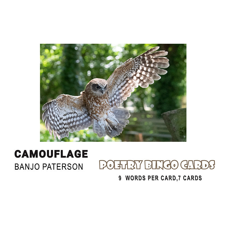 Camouflage by Banjo Paterson