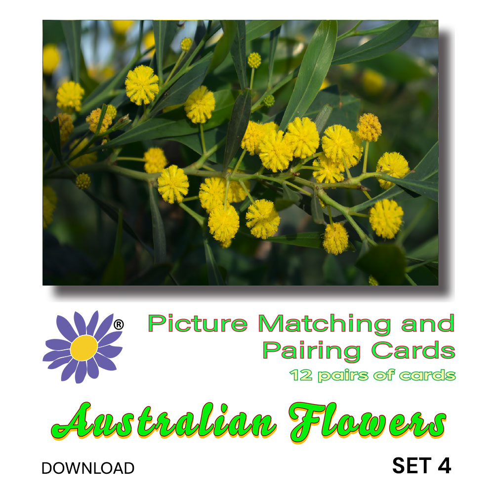 Australian Flowers - Set 4