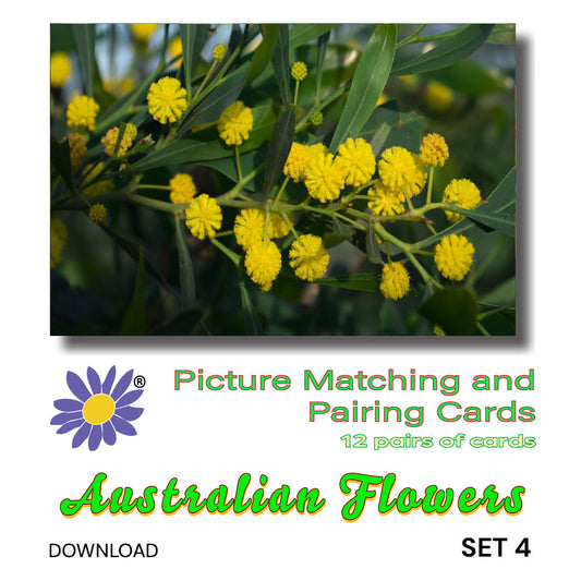 Australian Flowers - Set 4