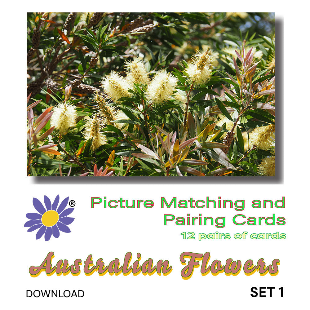 Australian Flowers - Set 1